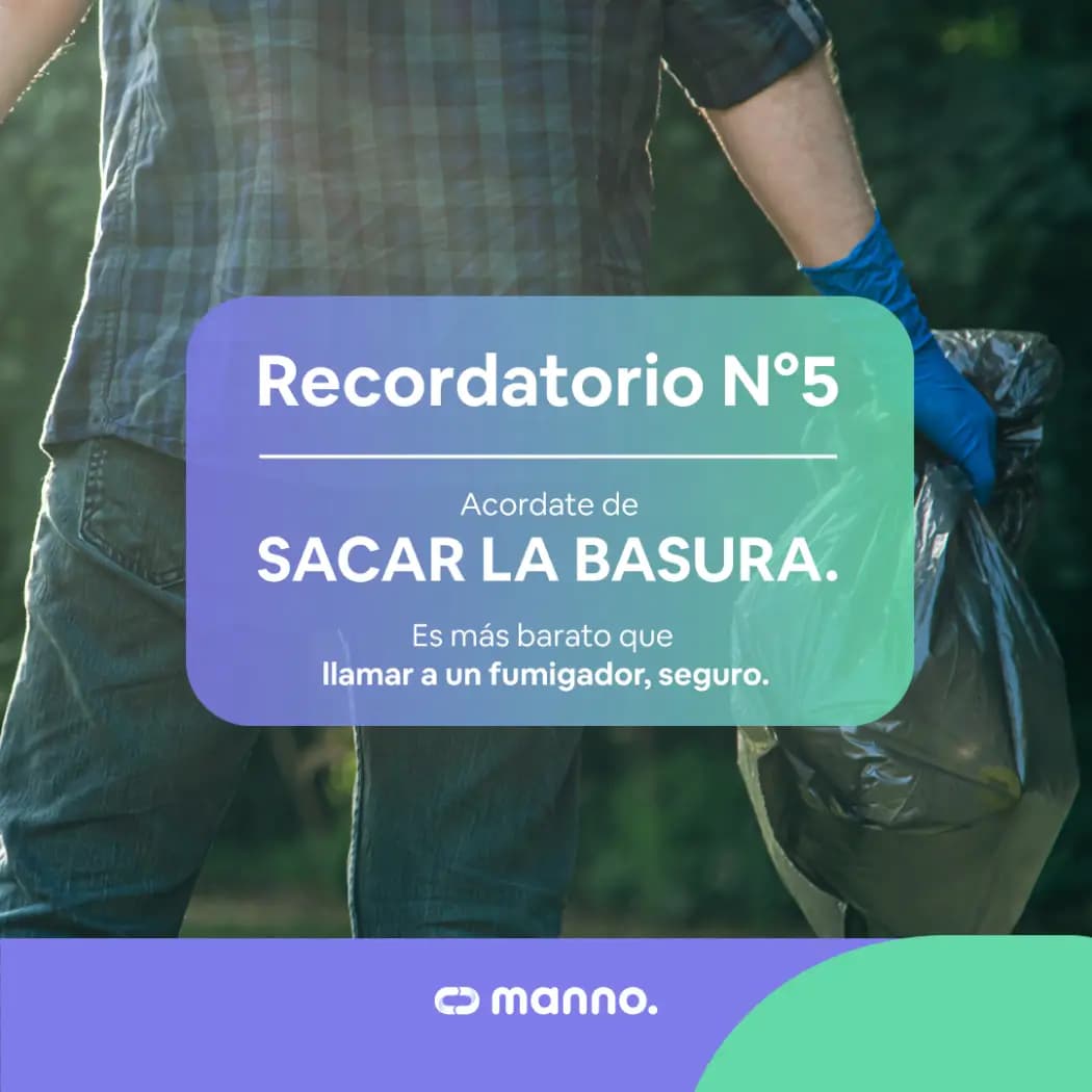 compañeros